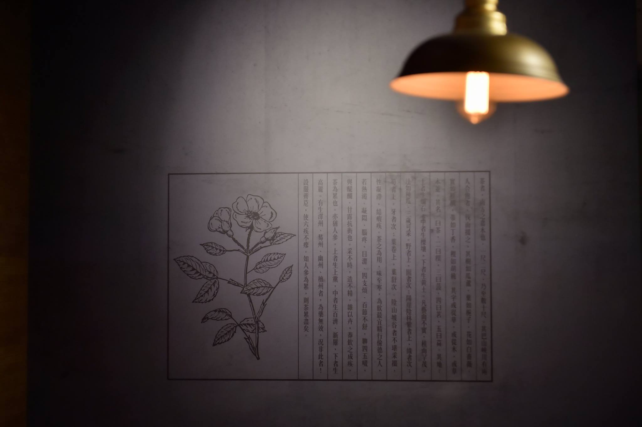 【茶博館．茶公告．7.10（二）16:00 閉館】